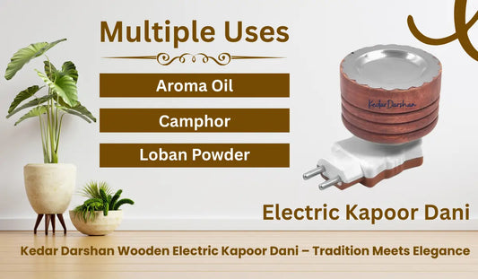 Electric Kapoor Dani