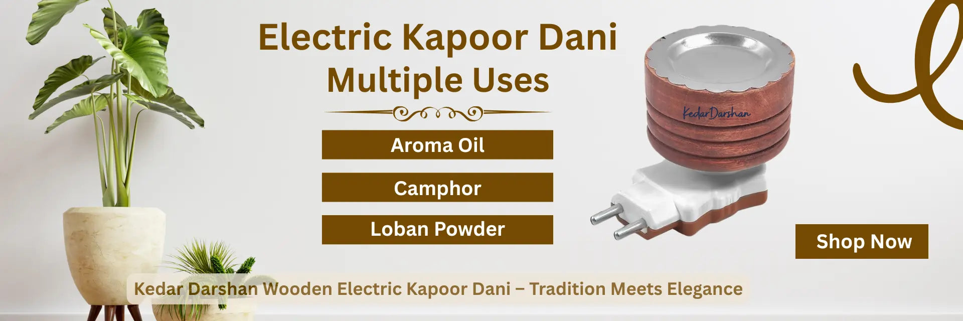 Electric Kapoor Dani